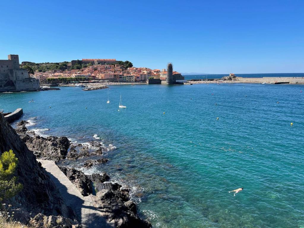 Appartement Fenêtre sur Collioure 1 Rue Saint-Vincent 66190 Collioure