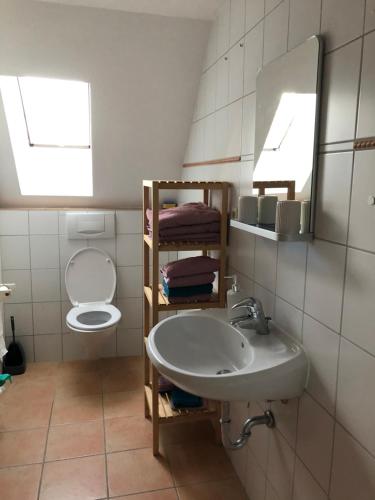 Ferien auf dem Alpakahof Schöndienst