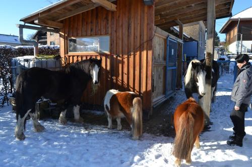 Ferien bei Freunden im Holzhaus