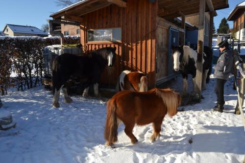 Ferien bei Freunden im Holzhaus