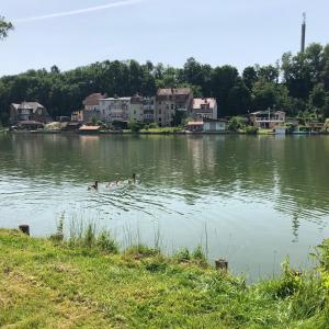 Appartement Ferien direkt am Wasser Vogelgesangstraße 17279 Lychen Brandebourg