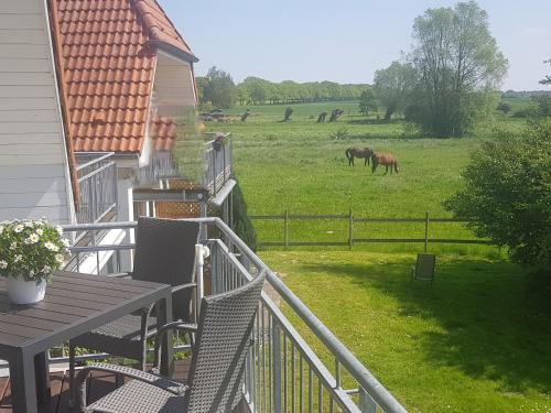 Ferien-Residenz am Nationalpark Wohnung 6