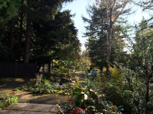 Ferien Suite Braunlage