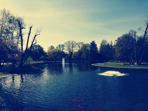 Ferien - und Messewohnung am Stadtpark