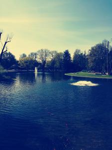 Ferien - und Messewohnung am Stadtpark