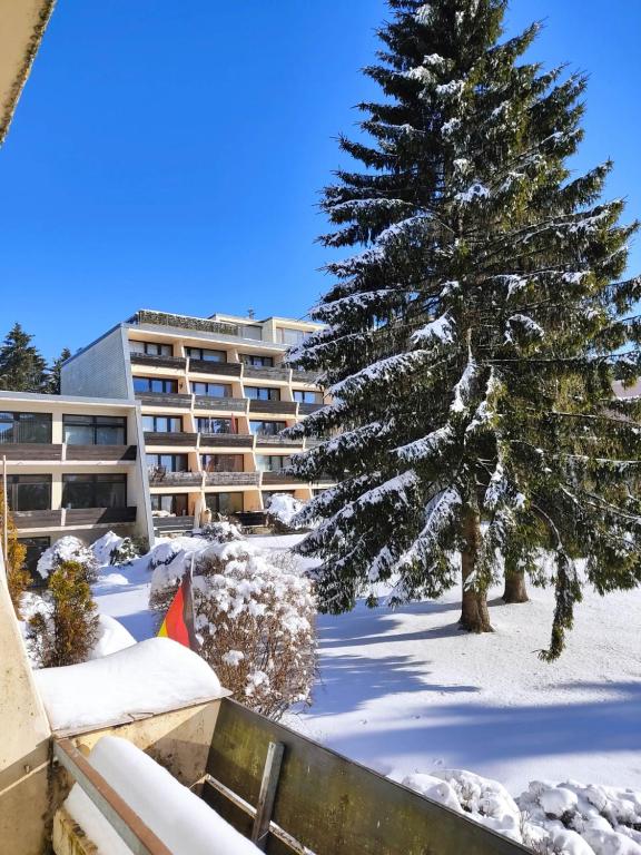 Appartement Ferienapartment \ 4 Am Predigtstuhl 94379 Sankt Englmar