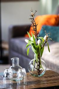 Appartement Ferienapartment Finke 37 Oberer Wasen 73642 Welzheim Bade-Wurtemberg