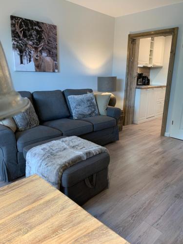 ferienapartment hahnenklee Apart.2