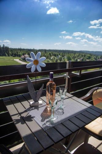 Ferienapartment Hoch hinaus