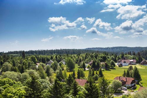 Ferienapartment Hoch hinaus