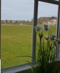 Ferienapartment Wiese & Meer auf Rügen
