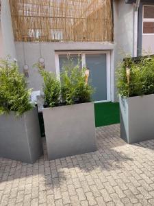 Ferienappartement Männl
