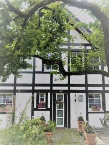 Appartement Feriendomizil Burg 66 Burg 51491 Overath Rhénanie du Nord - Westphalie