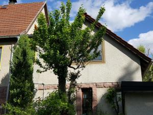 Ferienhaus Am Kirchberg