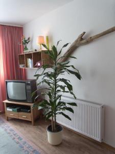 Ferienhaus-ANNE-FW-5
