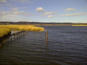 Ferienhaus Boddenkiek mit Wasserblick in Seedorf