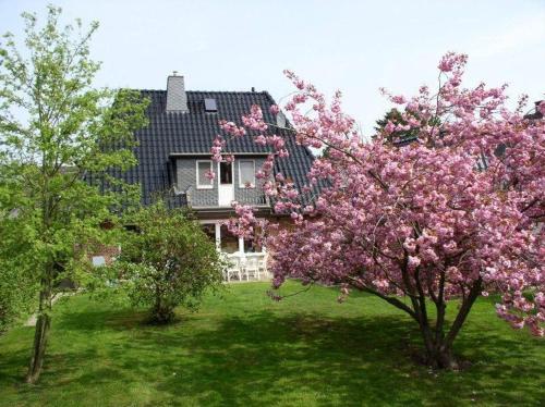 Ferienhaus Brandt