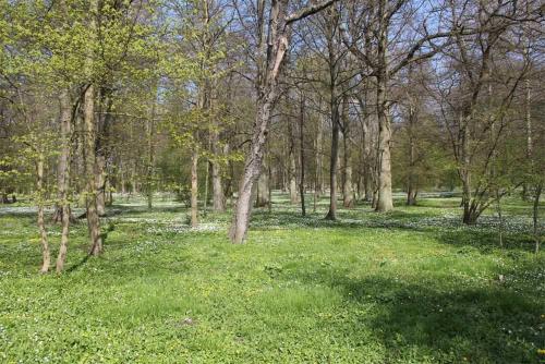 Ferienhaus Breege RUeG 2051