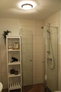 Ferienhaus Carl