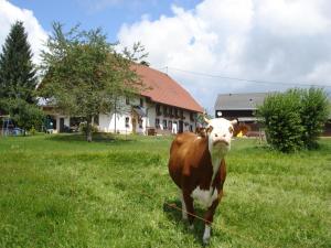 Ferienhaus Ehinger