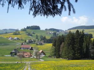 Appartement Ferienhaus Ehinger Bachleweg 2 79874 Breitnau Bade-Wurtemberg