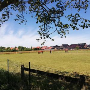 Ferienhaus Familie Reck