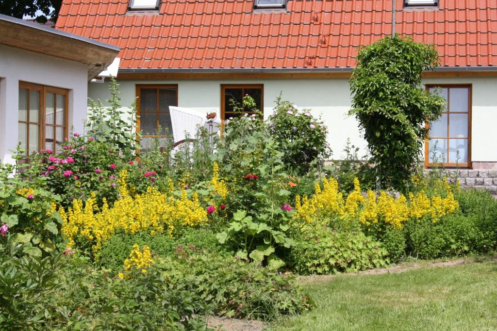 Appartement Ferienhaus - Grüner Katen 21 Dorfstraße 18182 Gelbensande