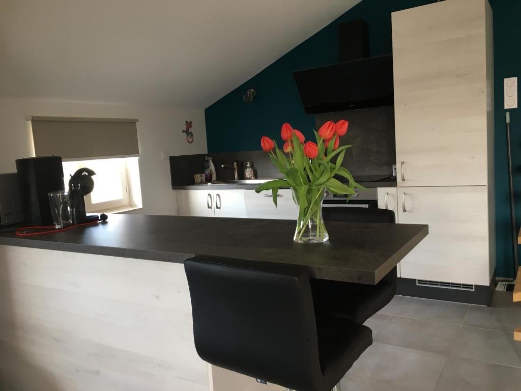 Ferienhaus-Haidweg-Wohnung-3