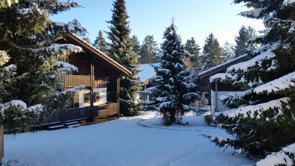 Appartement Ferienhaus im Waldferiendorf Regen Waldferiendorf 32a 94209 Regen