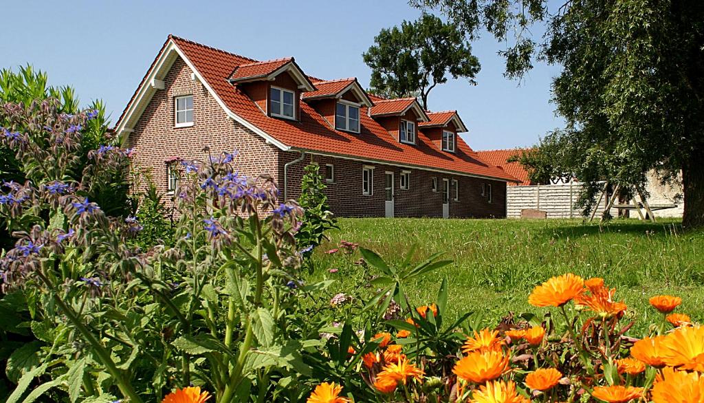 Ferienhaus Lobbe - Wohnung 04 mit Terrasse strandnah Dorfstr. 30 A - Apartment 04, 18586 Lobbe