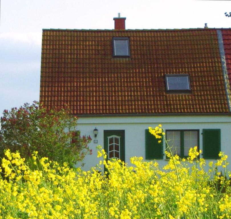 Ferienhaus Luise Lange Reihe 28 18314 Ludershagen, 18314 Lüdershagen