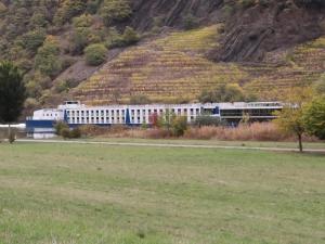 Ferienhaus MaLeFi 2 am Gülser Moselbogen