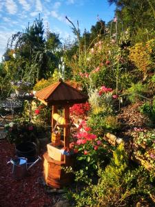 Ferienhaus mit riesen Garten, drei Terrassen, toller Aussicht am Waldrand, auch als Monteur-Wohnung