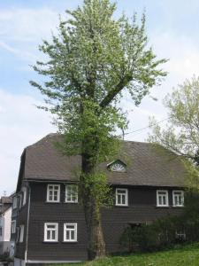 Ferienhaus Mittelstraße