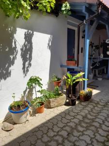 Appartement Ferienhaus Schick und Fein 14 Godramsteiner Straße 76833 Böchingen Rhénanie-Palatinat