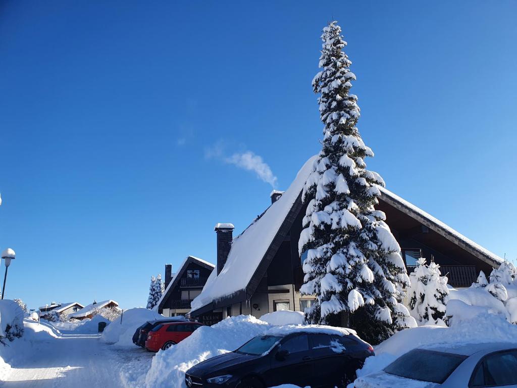 Appartement Ferienhaus-Schönwald im Herzen des Schwarzwaldes 1Zimmer-Wohnung+Terrasse App1 8 Richard-Dorer-Straße APPARTEMENT 1 78141 Schönwald