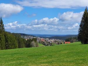 Ferienhaus-Schönwald im Herzen des Schwarzwaldes 1Zimmer-Wohnung+Terrasse App1