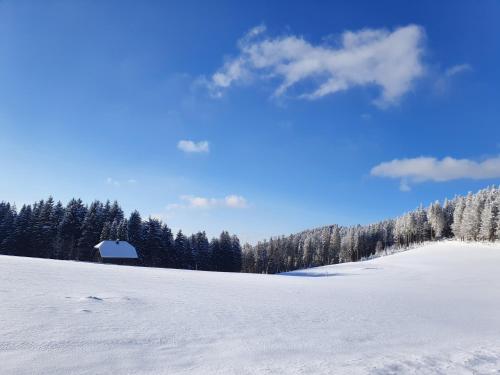 Ferienhaus-Schönwald im Herzen des Schwarzwaldes 1ZimmerWohnung+Balkon App7