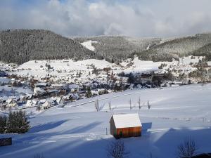 Ferienhaus Seefried