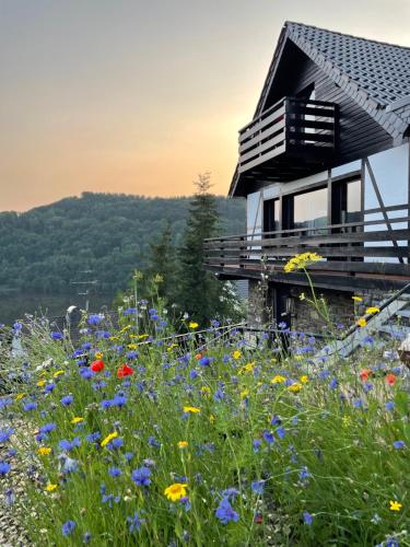 Ferienhaus Sonnendeck