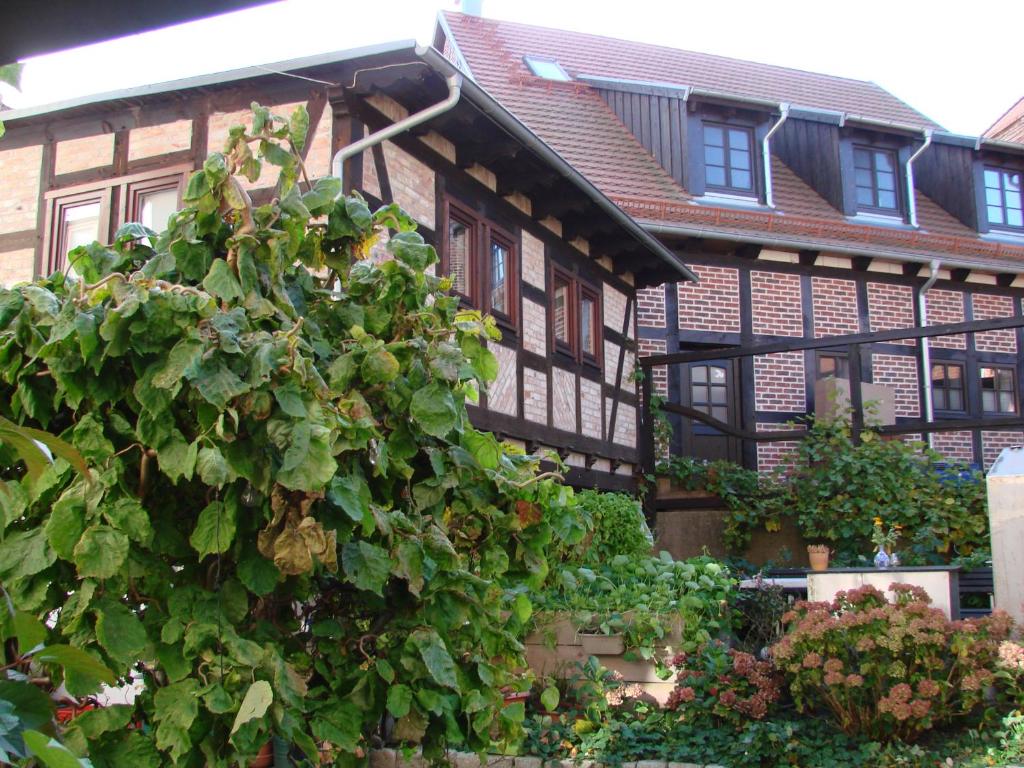 Appartement Ferienhaus Sontag Lange Straße 03 17438 Wolgast