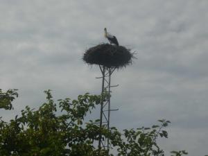 Ferienhaus Storchennest FeWo EG