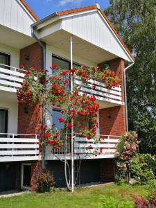 Appartement Ferienhaus Strandhus Juwel Deichstraße 49 Ferienhaus Strandhus Juwel 26434 Wangerland Basse-Saxe