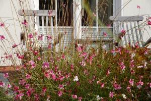 Ferienhaus Windrose