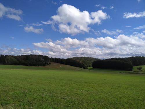 Ferienhaus Winterberg