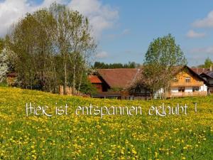 Ferienhof Am Holderbusch