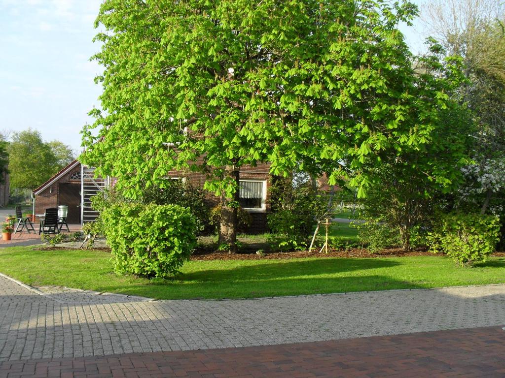 Ferienhof Schlachter 60 Schulstraße, 26524 Berumbur