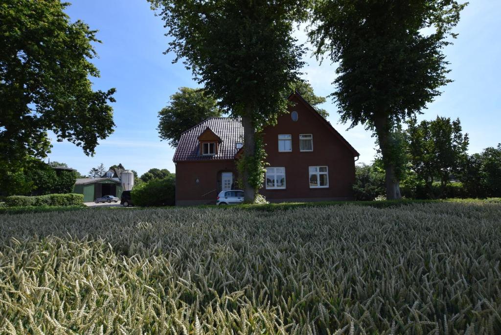 Ferienhof Specht - Landhaus Fewo 2 Denkmalplatz 7, 23747 Dahme