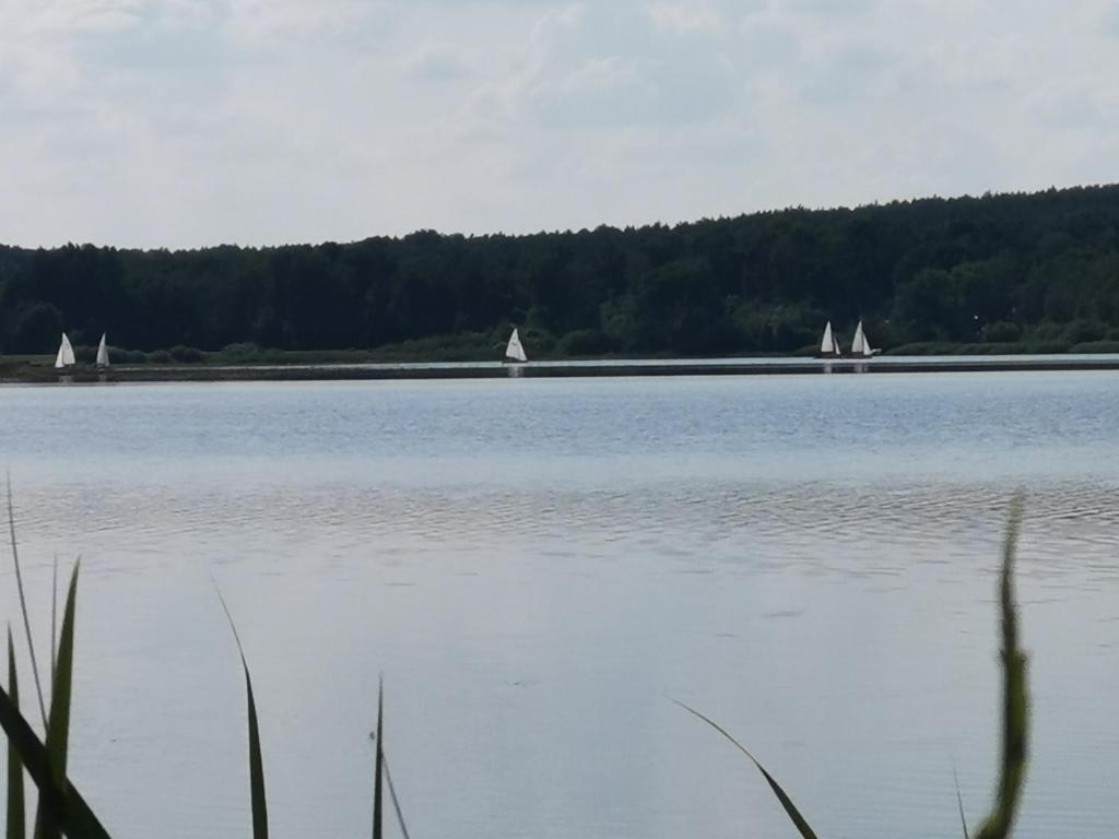Ferienpark Stausee Quitzdorf Am See 5 Ortsteil Kollm, 02906 Kollm