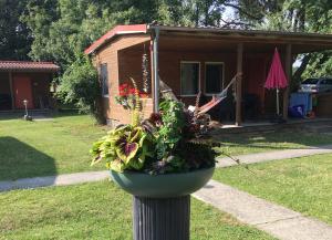 Ferienresort Möwenort Lütow Ferienwohnung 1